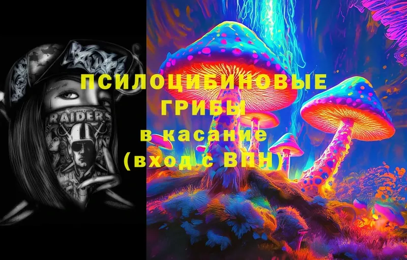 Псилоцибиновые грибы Magic Shrooms  Пролетарск 